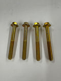 Cylinder Head assembly - 555635